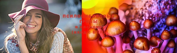 гидропоника Гусев