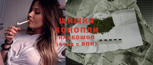гидропоника Гусев