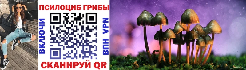 Галлюциногенные грибы мицелий  купить наркоту  Домодедово 